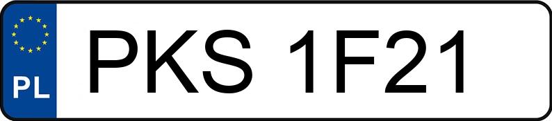 Numer rejestracyjny PKS 1F21 posiada MERCEDES-BENZ E 290 TD - PKS1F21