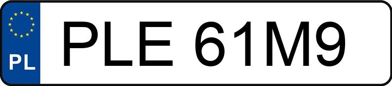 Numer rejestracyjny PLE 61M9 posiada RENAULT MEGANE SCENIC - PLE61M9 Numer rejestracyjny PLE 61M9 posiada RENAULT MEGANE SCENIC - PLE61M9