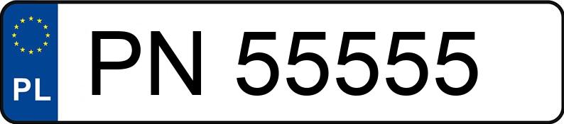 Numer rejestracyjny PN 55555 posiada PORSCHE CAYENNE GTS - PN55555