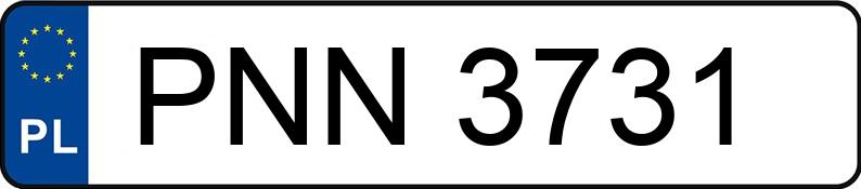 Numer rejestracyjny PNN 3731 posiada SAM  - PNN3731