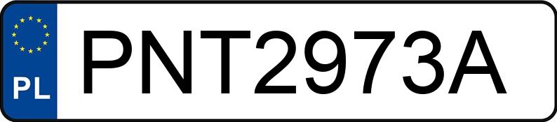 Numer rejestracyjny PNT 2973A posiada MERCEDES-BENZ ACTROS 963-4-A - PNT2973A