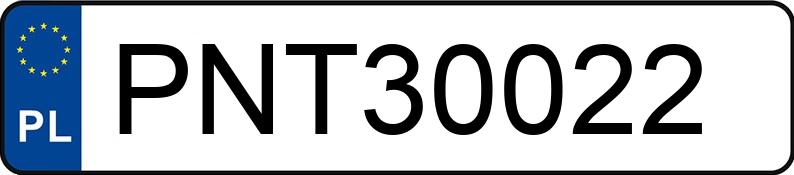 Numer rejestracyjny PNT 30022 posiada VOLKSWAGEN VENTO - PNT30022