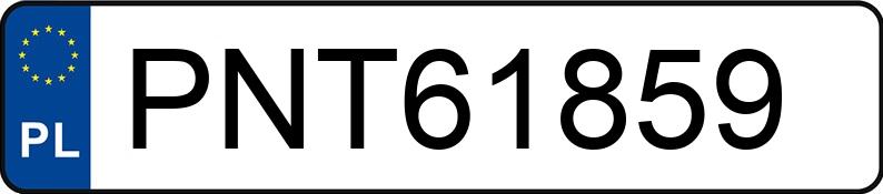 Numer rejestracyjny PNT 61859 posiada SEAT IBIZA - PNT61859