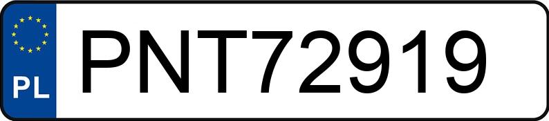Numer rejestracyjny PNT 72919 posiada FORD GALAXY - PNT72919