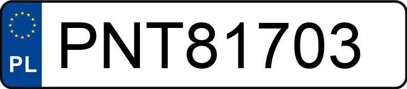 Numer rejestracyjny PNT 81703 posiada RENAULT MASTER - PNT81703