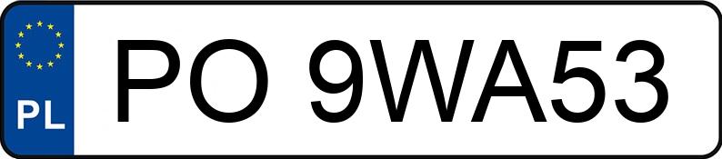 Numer rejestracyjny PO 9WA53 posiada MERCEDES-BENZ E 250 - PO9WA53