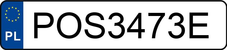 Numer rejestracyjny POS 3473E posiada OPEL VIVARO - POS3473E