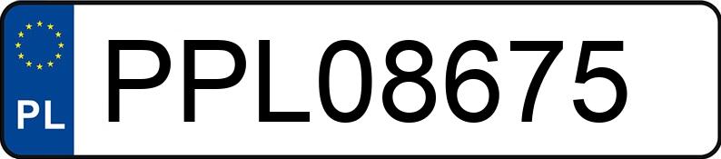 Numer rejestracyjny PPL 08675 posiada PEUGEOT 3008 - PPL08675