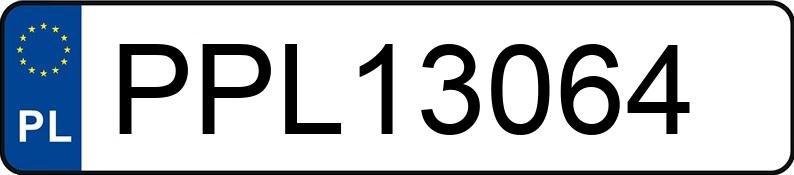 Numer rejestracyjny PPL 13064 posiada RENAULT MEGANE - PPL13064