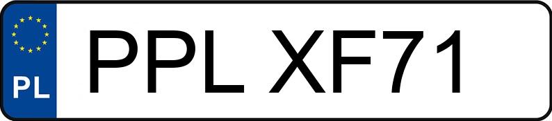 Numer rejestracyjny PPL XF71 posiada SEAT Ibiza 1.4 MR`02 E3 6L Fresc - PPLXF71