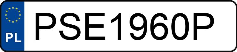 Numer rejestracyjny PSE1960P posiada KOGEL SKH 24 EuroBOX 35.0t SPKH24P90/1110/13.6