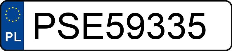 Numer rejestracyjny PSE 59335 posiada BMW 316 I - PSE59335