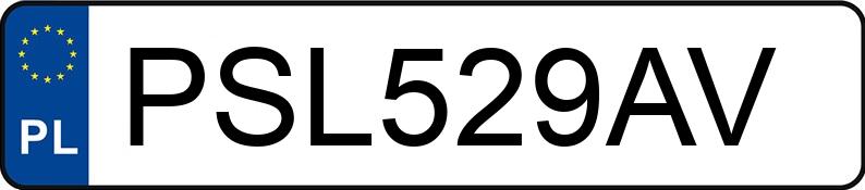 Numer rejestracyjny PSL 529AV posiada FIAT Panda Van Kat. MR`03 E4 1.4t Panda Van Kat. MR`03 E4 1.4t - PSL529AV