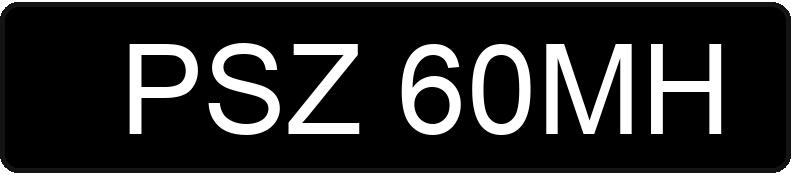 Numer rejestracyjny PSZ 60MH posiada BMW 728i Kat. E38 728i Kat. E38 - PSZ60MH