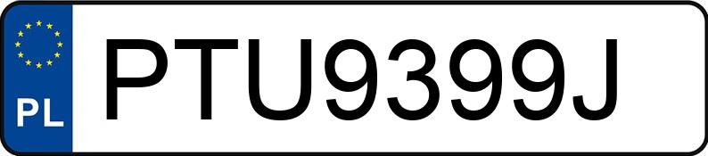 Numer rejestracyjny PTU 9399J posiada RENAULT TRAFIC - PTU9399J