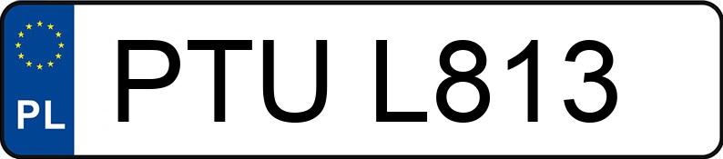 Numer rejestracyjny PTU L813 posiada SEAT TOLEDO - PTUL813