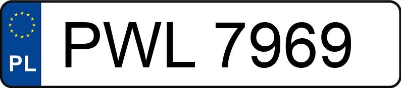Numer rejestracyjny PWL 7969 posiada SEAT IBIZA - PWL7969