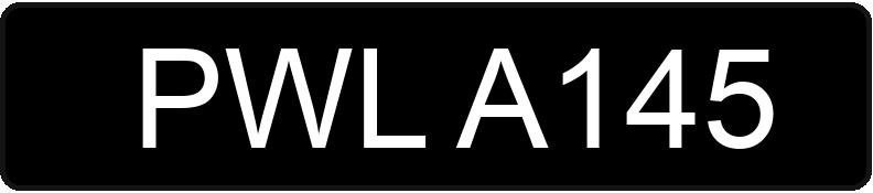 Numer rejestracyjny PWL A145 posiada RENAULT R 19 TXE - PWLA145