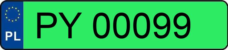 Numer rejestracyjny PY 00099 posiada TESLA  - PY00099