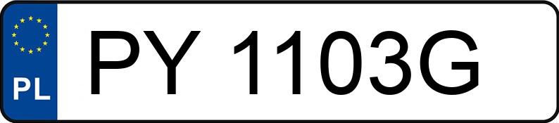 Numer rejestracyjny PY 1103G posiada BMW 530 D - PY1103G Numer rejestracyjny PY 1103G posiada BMW 530 D - PY1103G