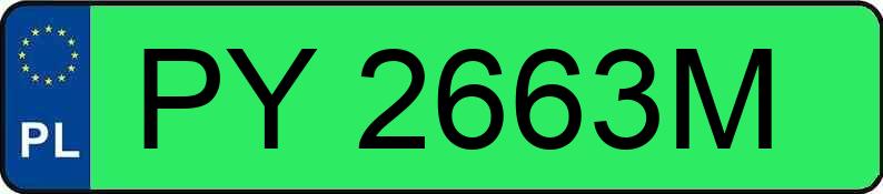 Numer rejestracyjny PY 2663M posiada LEAPMOTOR T03 - PY2663M Numer rejestracyjny PY 2663M posiada LEAPMOTOR T03 - PY2663M