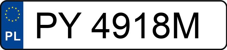 Numer rejestracyjny PY 4918M posiada FIAT DOBLO E - PY4918M