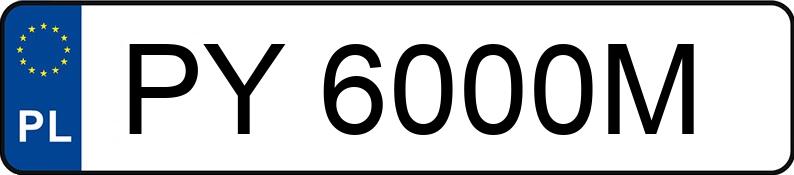 Numer rejestracyjny PY 6000M posiada PEUGEOT 2008 HDI MR`16 E6 Active - PY6000M