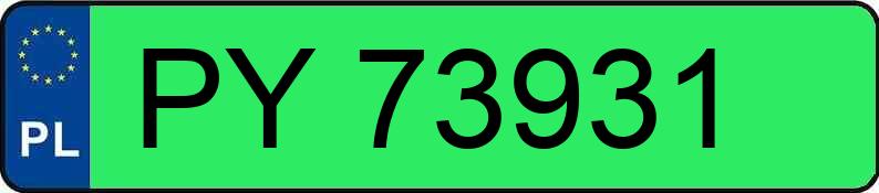 Numer rejestracyjny PY 73931 posiada VOLKSWAGEN ID. BUZZ PRO 150 KW - PY73931