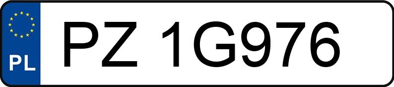 Numer rejestracyjny PZ 1G976 posiada FORD TRANSIT CUSTOM - PZ1G976