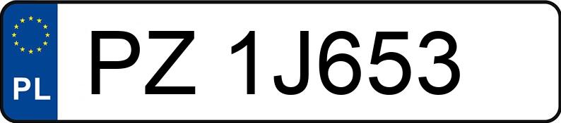 Numer rejestracyjny PZ 1J653 posiada VOLVO S60 2.5 MR`05 E4 T Summum - PZ1J653