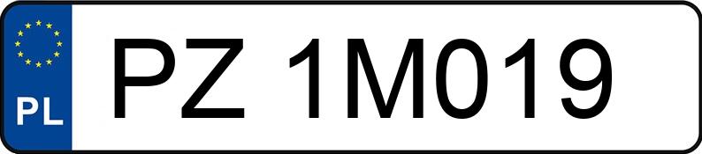 Numer rejestracyjny PZ 1M019 posiada ALFA ROMEO GT Coupe 1.9 JTDM-jet MR`04 E3 937 Impression - PZ1M019