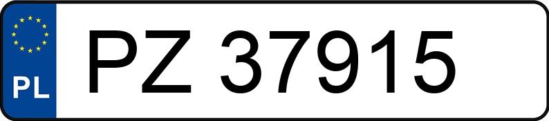 Numer rejestracyjny PZ 37915 posiada FIAT SEICENTO - PZ37915