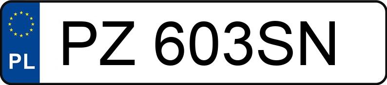 Numer rejestracyjny PZ 603SN posiada AUDI A4 1.9 TDI - PZ603SN