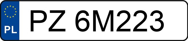 Numer rejestracyjny PZ 6M223 posiada SETRA S 315 GT-HD - PZ6M223 Numer rejestracyjny PZ 6M223 posiada SETRA S 315 GT-HD - PZ6M223