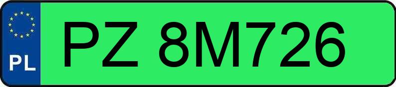 Mistrz parkowania w pojeździe o numerach PZ8M726