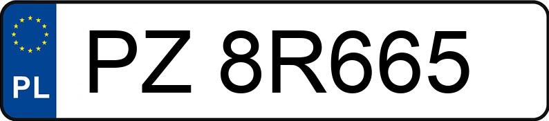 Numer rejestracyjny PZ 8R665 posiada AUDI ALLROAD - PZ8R665