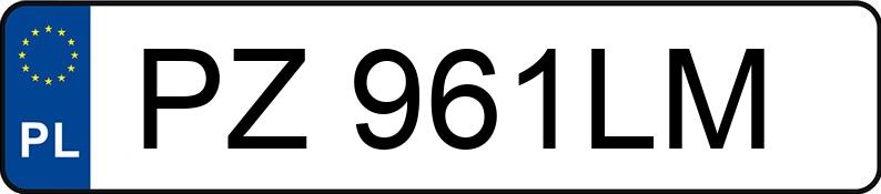 Numer rejestracyjny PZ 961LM posiada HYUNDAI GETZ - PZ961LM Numer rejestracyjny PZ 961LM posiada HYUNDAI GETZ - PZ961LM