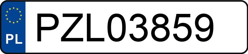 Numer rejestracyjny PZL 03859 posiada VOLKSWAGEN PASSAT - PZL03859