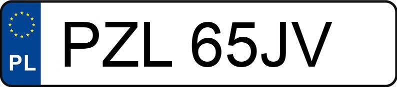 Numer rejestracyjny PZL 65JV posiada MERCEDES-BENZ 300 - PZL65JV