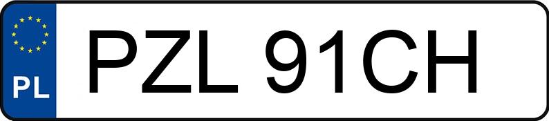 Numer rejestracyjny PZL 91CH posiada BMW 530 Touring Diesel Kat. MR`95 E39 530 Touring Diesel Kat. MR`95 E39 - PZL91CH