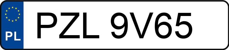 Numer rejestracyjny PZL9V65 posiada VOLKSWAGEN Transporter T4 Diesel 2.6t Transporter T4 Diesel 2.6t