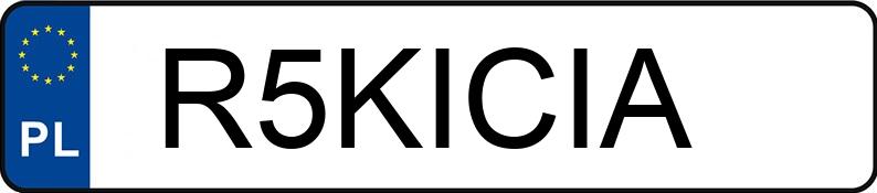 Numer rejestracyjny R5KICIA posiada BMW X5 X Numer rejestracyjny R5KICIA posiada BMW X5 X