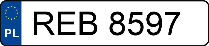 Numer rejestracyjny REB 8597 posiada MERCEDES-BENZ MB 100 Diesel 2.6t MB 100 Diesel 2.6t - REB8597
