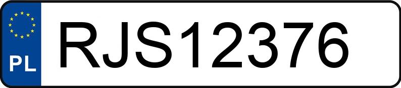 Numer rejestracyjny RJS 12376 posiada BMW 320 Diesel MR`12 E5 F30 Ef.Dyn. Edition - RJS12376