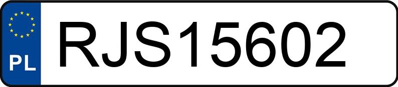 Numer rejestracyjny RJS 15602 posiada BMW 316D - RJS15602