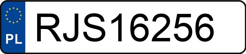 Numer rejestracyjny RJS 16256 posiada BMW 530D - RJS16256