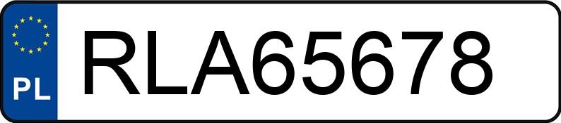 Numer rejestracyjny RLA 65678 posiada MERCEDES-BENZ 207 - RLA65678