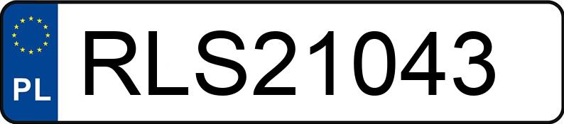 Numer rejestracyjny RLS 21043 posiada BMW 320i Touring Kat. MR`98 E46 - RLS21043