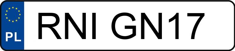 Numer rejestracyjny RNI GN17 posiada SEAT IBIZA - RNIGN17