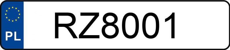 Numer rejestracyjny RZ 8001 posiada HONDA Szosowe od 400 do 600 ccm CB 600 F3 Hornet - RZ8001